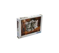 Clementoni - 30545 - Collection - Kittens - 500?Pieces