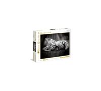 Clementoni 39422?Kitten?-?HQC Jigsaw Puzzle puzzle for adults and children - 1000?Pieces