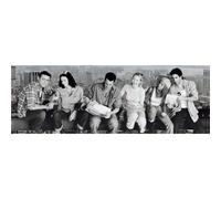 Clementoni Friends Panorama Jigsaw Puzzle (1000 Pieces)