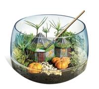 Clementoni Harry Potter Hagrid's Hut Terrarium Create a Mini Ecosystem - 19248
