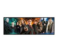 Harry Potter Panorama 1000 Pieces Puzzle