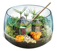 Terrarium Harry Potter Junior 35 X 26 Cm