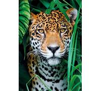 Clementoni Jaguar In The Jungle Jigsaw Puzzle (500 Pieces)