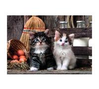 Clementoni Jigsaw Puzzle 1000 pieces, Collection Lovely Kittens, Compact box, Made in Italy, 39943