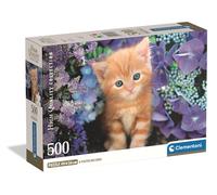 PZL 500 HQC GINGER CAT COMPACT BOX