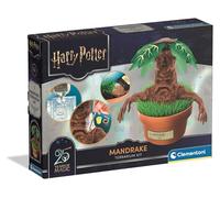 Clementoni Science & Play HARRY POTTER Mandrake Kit, Build, Paint & Grow a Legendary Herbology Plant, Includes Plaster, Paints, Seeds & Soil, Ages 7+