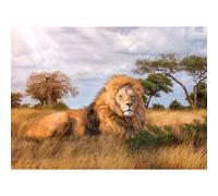 Clementoni The King High Quality Jigsaw Puzzle (1000 Pieces)