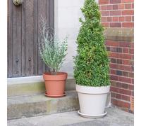 Cleo Planter D40cm Terracotta With Wheels Ivyline Terracotta One Size