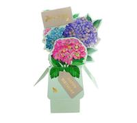 Clever Cube Just for You Hydra-Happy Birthday! Pop Up Greeting Card CU009