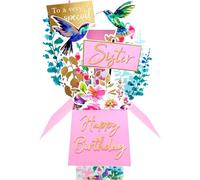 Clever Cube Special Sister Birthday Bliss! Birthday Pop Up Greeting Card CU011.B