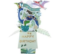 Clever Cube Time to Party Roar-Some Birthday! Birthday Pop Up Greeting Card CU023