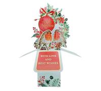 Clever Cubes Pop Up Red Robins Tweet-Tastic Merry Christmas Card 3D Xmas Card XCU004