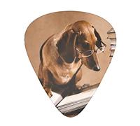 Clever Dachshund Professor Unique Guitar Gift Guitar Picks For Bass Electric Acoustic Guitars (12 Count)