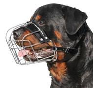 CleverTail Dog Metal Muzzle for Large Sized Dogs - Heavy Duty Rottweiler Muzzle - Large Basket Dog Muzzle for Barking and Biting Cane Corso, Mastiff, Labrador, Bulldog, Alabai and Other Big Breeds