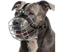 CleverTail Metal Pitbull Muzzle for Large Sized Dog - Basket Muzzle for Dogs with Adjustable Leather Straps - Steel Cage Dog Muzzle to Prevent Biting - Mouth Guard for Large and Medium Pitt Bull