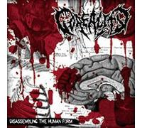 Cli - Disassembling the Human..