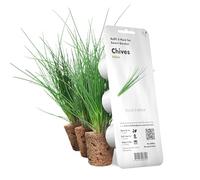 Click and Grow M5261200 Smart Garden Chives Plant Pods, 3-pack,White