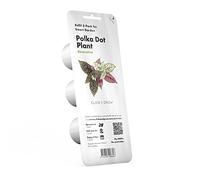 Click and Grow - Smart Garden Refill 3-Pack - Polka Dot Plant (SG-036)