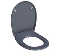 Click & Clean Classic Soft-Close with Quick-Release Toilet SEAT THERMOSET Plastic Grey, Adjustable, Weight: 2.4kg, 1 in Pack