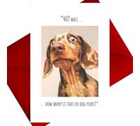 Click, Like and Share Humorous 40th Birthday Card, Dog is Shocked!, Multi-Coloured