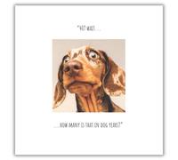 Greetings Card Click, Like & Share 40Th Bday Dog Looking Surprised Card Emotional Rescue Natural One Size