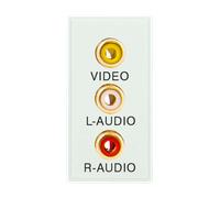 Click New Media MM491WH 25 x 50mm Triple RCA Module With Screw Terminals - Polar White