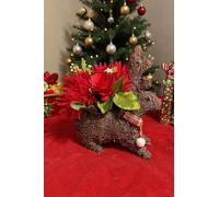 click2style Salim Material Christmas Animal Shaped Planters, Robin and Reindeer Design, Decorative Lined Garden Containers for Holiday Decor (Reindeer Sitting & Flowers)