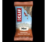 Mini Crunchy Peanut Butter Bar