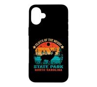 Cliffs of the Neuse State Park North Carolina Retro Sunset Case for iPhone 16 Plus