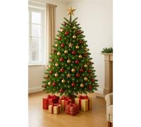 Clifton Premier Nordman Fir Xmas Tree -Low Needle Drop- 1.25m to 1.5m (4-5ft) in Green Clifton Green