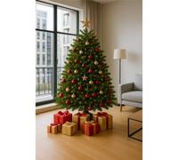 Clifton Premier Nordman Fir Xmas Tree -Low Needle Drop- 1.25m to 1.5m (4-5ft) in Green Clifton Green
