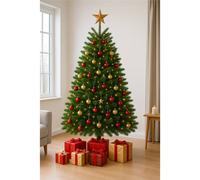 Clifton Premier Nordman Fir Xmas Tree- Low Needle Drop -1.75 - 2.0m(5.75 - 6.5ft) in Green Clifton Green