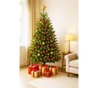 Clifton Premier Nordman Fir Xmas Tree-Low Needle Drop-1.75 - 2.0m (5.75 - 6.5ft) in Green Clifton Green