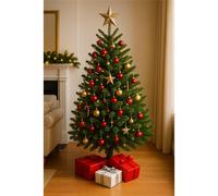 Clifton Premier Norway Spruce Christmas Tree - Fresh Cut - 1.25m - 1.5m (4 - 5ft) in Green Clifton Green