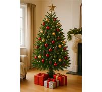 Clifton Premier Norway Spruce Christmas Tree - Fresh Cut - 1.5m - 1.75m (5 - 6ft) in Green Clifton Green