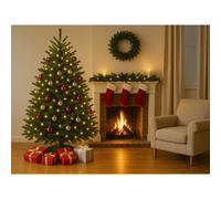 Clifton Premier Norway Spruce Christmas Tree - Fresh Cut - 2.0m - 2.5m (6.5 - 8ft) in Green Clifton Green