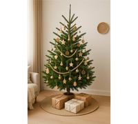 Clifton Premier Norway Spruce Christmas Tree - Fresh Cut - 2.0m - 2.5m (6.5 - 8ft) in Green Clifton Green