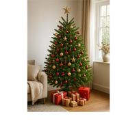 Clifton Premier Norway Spruce Xmas Tree - Fresh Cut - 1.75m - 2.0m (5.75 - 6.5ft) in Green Clifton Green