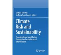 Climate Risk and Sustainability: Emerging Impacts and Future Perspectives for the Financial Intermediaries
