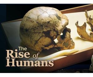 Climate’s Impact on Our Evolution