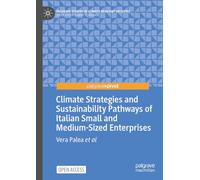 Climate Strategies and Sustainability Pathways of Italian Small and Medium-Sized Enterprises: Climate Strategies and their Determinants among Italian ... Studies in Climate Resilient Societies)