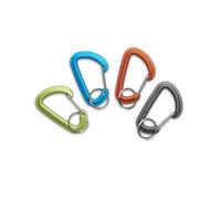 Climbing carabiner Black Diamond Micro ACCSSRY TU
