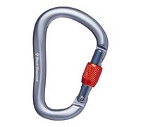 Black Diamond RockLock Screwgate Carabiner Grey