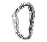 Climbing carabiner Edelrid Bulletproof Screw Eco Gris TU