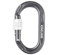 Climbing carabiner Edelrid Kiwi Screw Silver One size