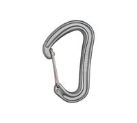Climbing carabiner Edelrid Nineteen G Gris TU
