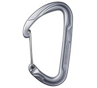 Climbing carabiner Edelrid Pure Wire III Gris TU