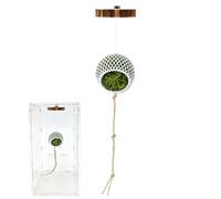 Climbing Decor for Jumping Spider, Climbing Decoration - Spider Pen Decoration | for Terrarium Reptile Bearded Dragon Snake Turtle Terrestrial Turtle Frog Crab Hermit Gecko