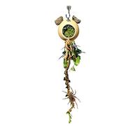 Climbing Decoration for Jumping Spiders - Artificial Terrarium Climbers | Accessory for and Reptiles | For Royal Pythons Lizards Turtles Hermit Dragons Bearded Frogs Tortoises Geckos
