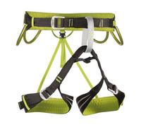 Climbing harness Camp Alpine Flash